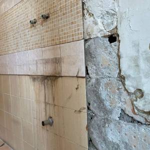 Frassini-inter-01_original