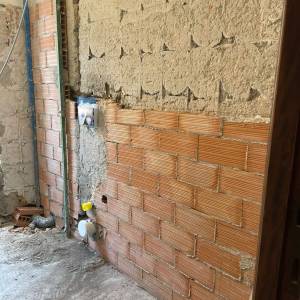 Frassini-inter-04_original