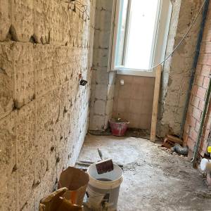 Frassini-inter-05_original