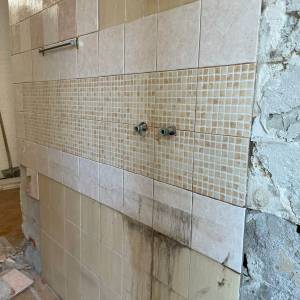 Frassini-inter-07_original